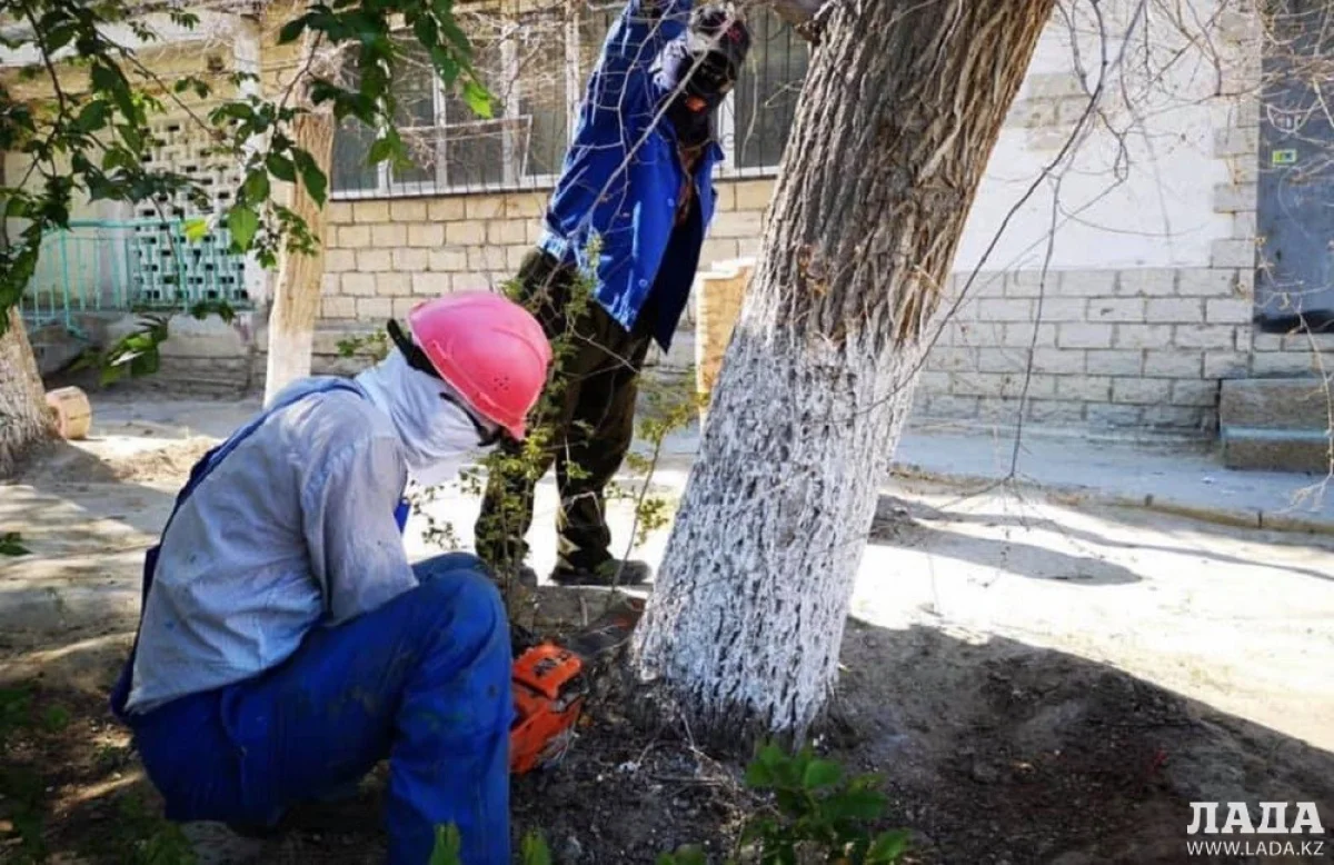 Фото предоставлено ТОО «Кала жолдары»