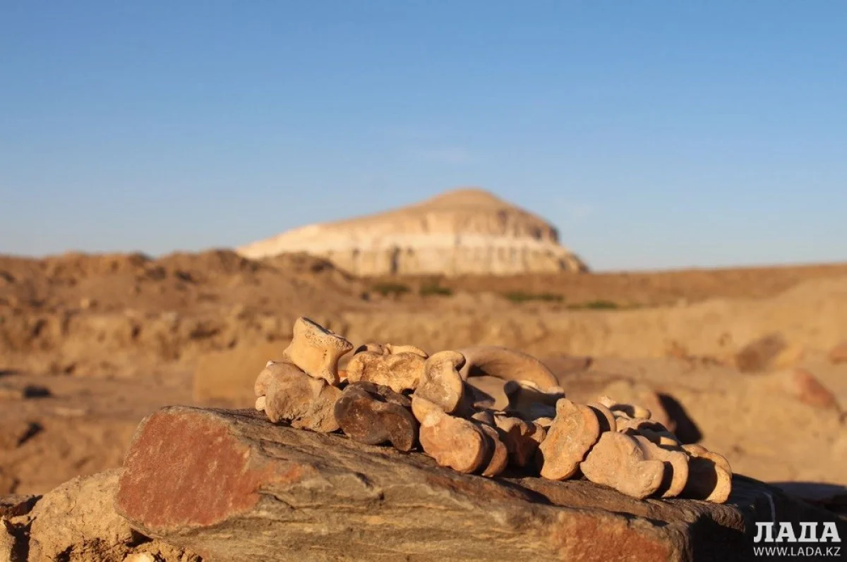 Иллюстративное фото с сайта zakon.kz