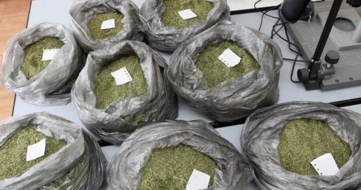 Фото из доступных источников