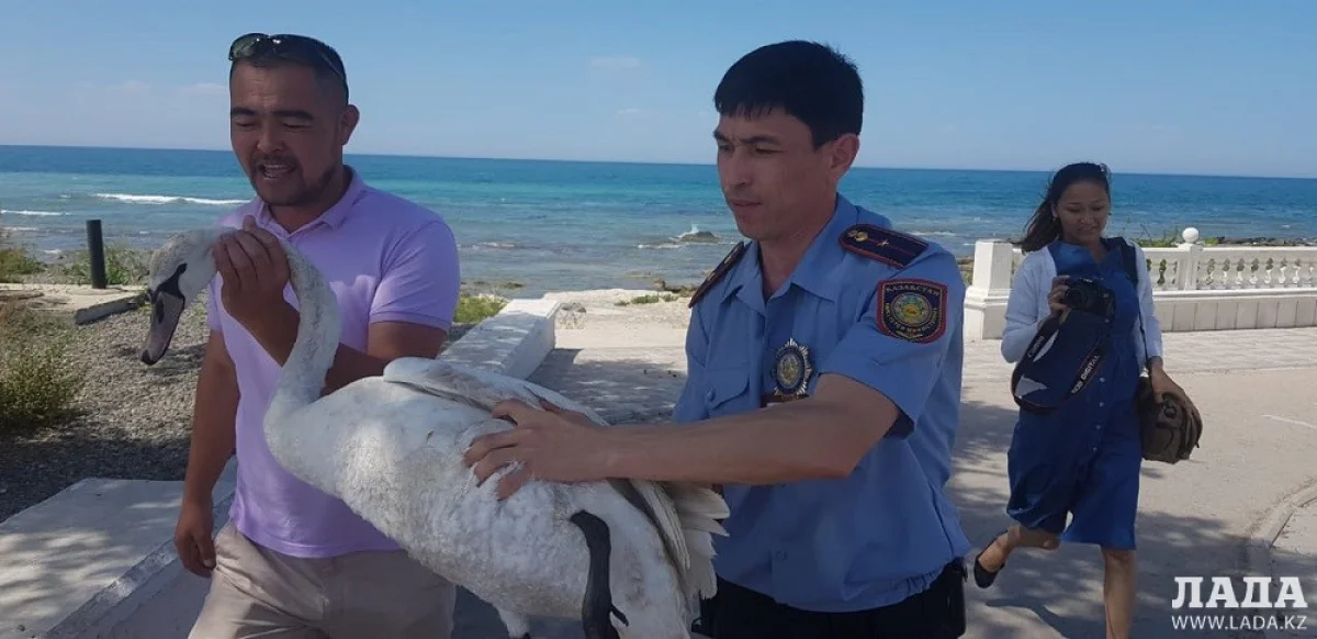 Фото предоставлено пресс-службой департамента полиции Мангистауской области