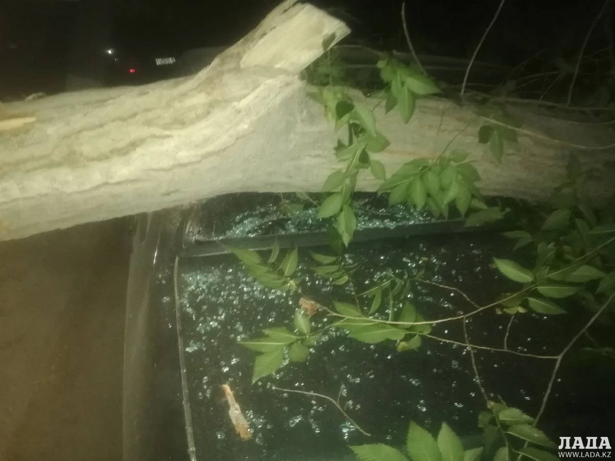 Фото пользователя сайта