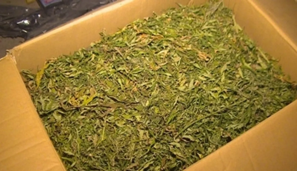 Фото из доступных источников