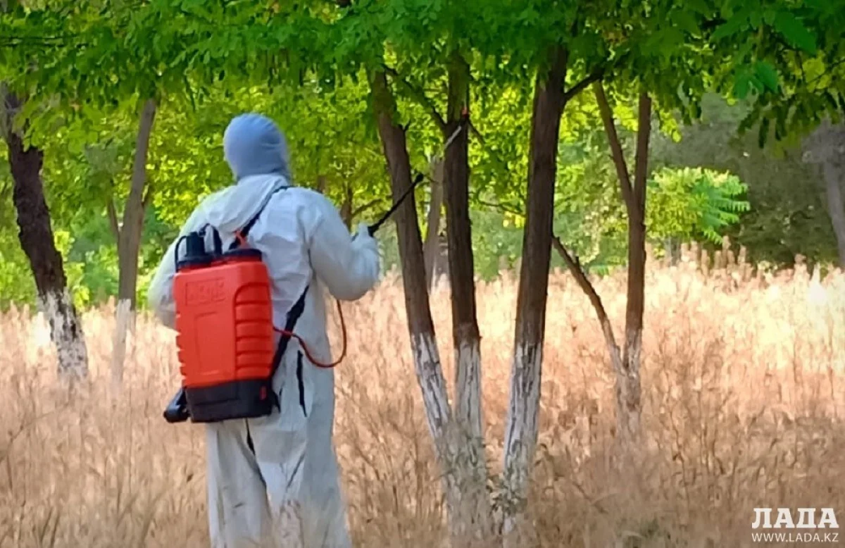 Фото предоставлено Бекболатом Джаикбаевым