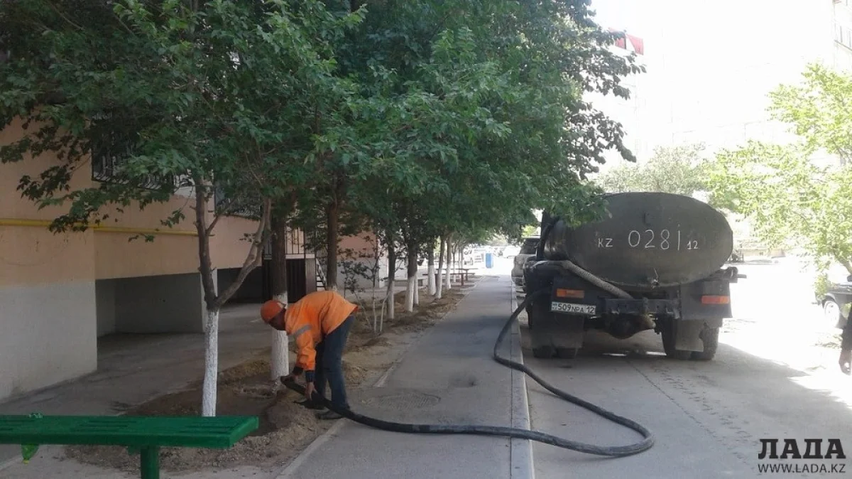 Фото предоставлено Абаем Кожабаевым