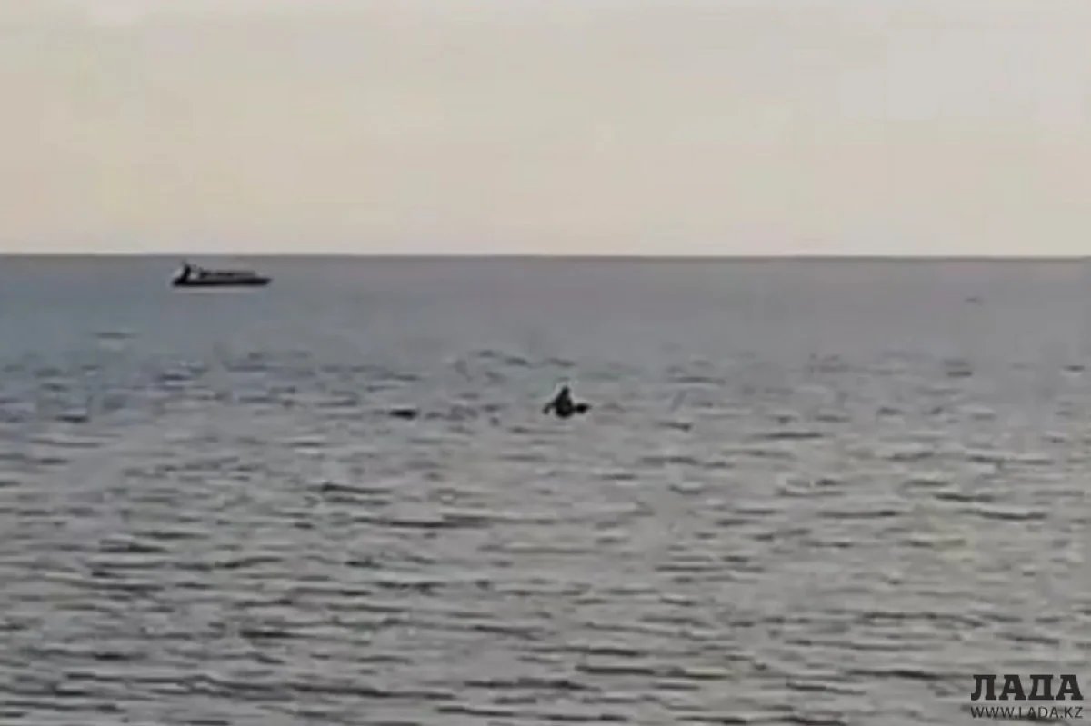 Скриншот видеоматериала