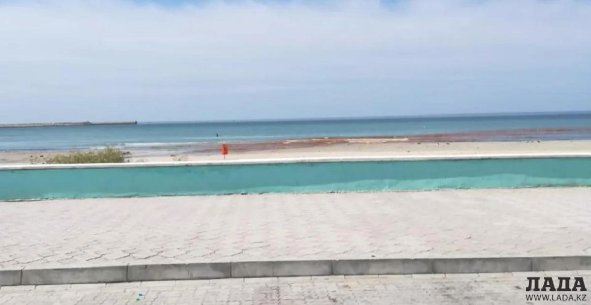 Скриншот видеоматериала