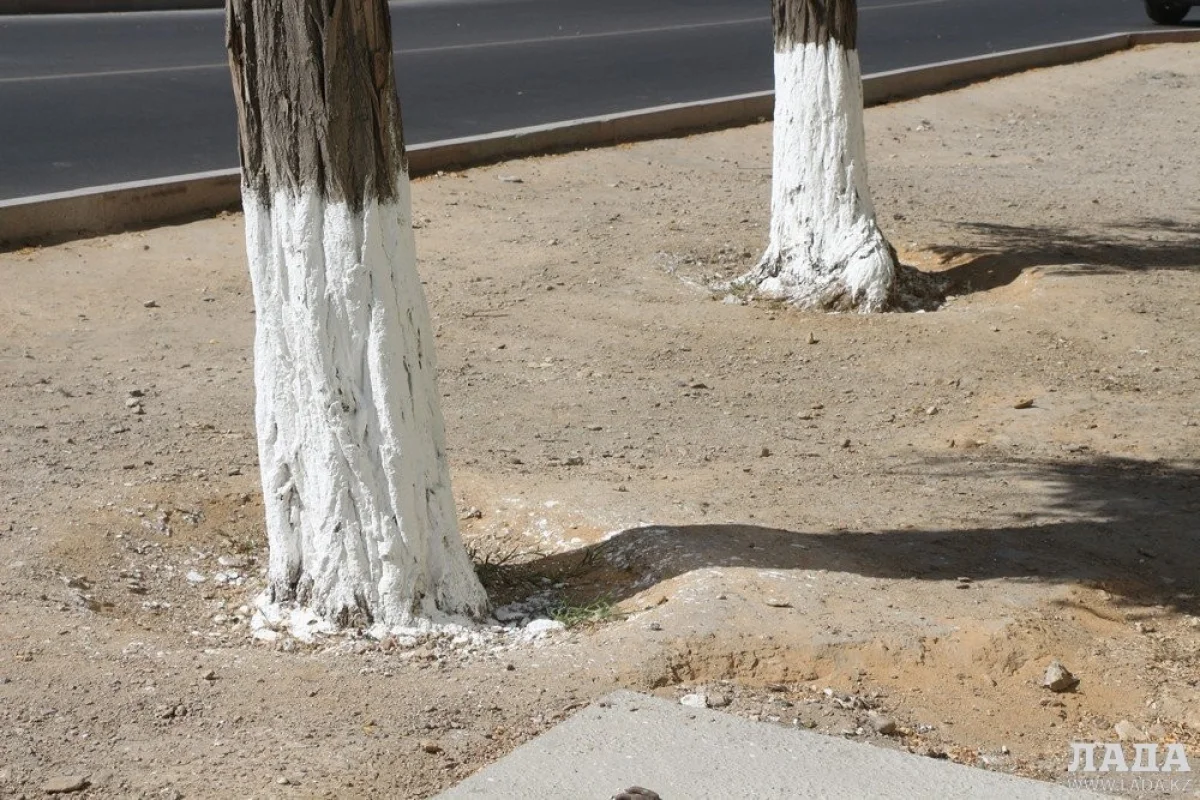 Фото из архива Lada.kz