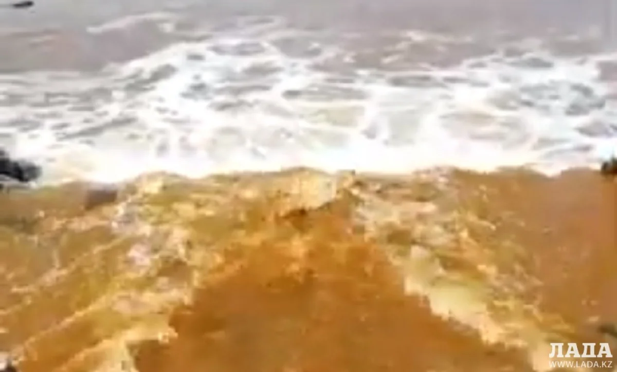 Скриншот видеоматериала