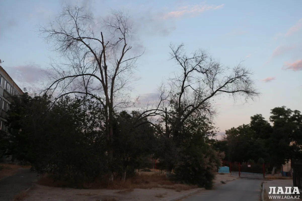 Фото Рашида Исмагилова||news_pic_more|<!--TBegin--><a href="https://www.lada.kz/uploads/posts/2019-06/1560487439_img_5994.jpg" onclick="return hs.expand(this)" ><img align="left" src="https://www.lada.kz/uploads/posts/2019-06/thumbs/1560487439_img_5994.jpg" alt='Полив по факту: Исполнение графика полива в Актау 13 июня' title='Полив по факту: Исполнение графика полива в Актау 13 июня'  /></a><!--TEnd--><br /><!--TBegin--><a href="https://www.lada.kz/uploads/posts/2019-06/1560487483_img_5997.jpg" onclick="return hs.expand(this)" ><img align="left" src="https://www.lada.kz/uploads/posts/2019-06/thumbs/1560487483_img_5997.jpg" alt='Полив по факту: Исполнение графика полива в Актау 13 июня' title='Полив по факту: Исполнение графика полива в Актау 13 июня'  /></a><!--TEnd--><br /><!--TBegin--><a href="https://www.lada.kz/uploads/posts/2019-06/1560487455_img_5999.jpg" onclick="return hs.expand(this)" ><img align="left" src="https://www.lada.kz/uploads/posts/2019-06/thumbs/1560487455_img_5999.jpg" alt='Полив по факту: Исполнение графика полива в Актау 13 июня' title='Полив по факту: Исполнение графика полива в Актау 13 июня'  /></a><!--TEnd--><br /><!--TBegin--><a href="https://www.lada.kz/uploads/posts/2019-06/1560487459_img_6001.jpg" onclick="return hs.expand(this)" ><img align="left" src="https://www.lada.kz/uploads/posts/2019-06/thumbs/1560487459_img_6001.jpg" alt='Полив по факту: Исполнение графика полива в Актау 13 июня' title='Полив по факту: Исполнение графика полива в Актау 13 июня'  /></a><!--TEnd--><br /><!--TBegin--><a href="https://www.lada.kz/uploads/posts/2019-06/1560487533_img_6012.jpg" onclick="return hs.expand(this)" ><img align="left" src="https://www.lada.kz/uploads/posts/2019-06/thumbs/1560487533_img_6012.jpg" alt='Полив по факту: Исполнение графика полива в Актау 13 июня' title='Полив по факту: Исполнение графика полива в Актау 13 июня'  /></a><!--TEnd--><br /><!--TBegin--><a href="https://www.lada.kz/uploads/posts/2019-06/1560487513_img_6025.jpg" onclick="return hs.expand(this)" ><img align="left" src="https://www.lada.kz/uploads/posts/2019-06/thumbs/1560487513_img_6025.jpg" alt='Полив по факту: Исполнение графика полива в Актау 13 июня' title='Полив по факту: Исполнение графика полива в Актау 13 июня'  /></a><!--TEnd--><br /><!--TBegin--><a href="https://www.lada.kz/uploads/posts/2019-06/1560487545_img_6032.jpg" onclick="return hs.expand(this)" ><img align="left" src="https://www.lada.kz/uploads/posts/2019-06/thumbs/1560487545_img_6032.jpg" alt='Полив по факту: Исполнение графика полива в Актау 13 июня' title='Полив по факту: Исполнение графика полива в Актау 13 июня'  /></a><!--TEnd--><br /><!--TBegin--><a href="https://www.lada.kz/uploads/posts/2019-06/1560487541_img_6041.jpg" onclick="return hs.expand(this)" ><img align="left" src="https://www.lada.kz/uploads/posts/2019-06/thumbs/1560487541_img_6041.jpg" alt='Полив по факту: Исполнение графика полива в Актау 13 июня' title='Полив по факту: Исполнение графика полива в Актау 13 июня'  /></a><!--TEnd--><br /><!--TBegin--><a href="https://www.lada.kz/uploads/posts/2019-06/1560487505_img_6043.jpg" onclick="return hs.expand(this)" ><img align="left" src="https://www.lada.kz/uploads/posts/2019-06/thumbs/1560487505_img_6043.jpg" alt='Полив по факту: Исполнение графика полива в Актау 13 июня' title='Полив по факту: Исполнение графика полива в Актау 13 июня'  /></a><!--TEnd--><br /><!--TBegin--><a href="https://www.lada.kz/uploads/posts/2019-06/1560487608_img_6052.jpg" onclick="return hs.expand(this)" ><img align="left" src="https://www.lada.kz/uploads/posts/2019-06/thumbs/1560487608_img_6052.jpg" alt='Полив по факту: Исполнение графика полива в Актау 13 июня' title='Полив по факту: Исполнение графика полива в Актау 13 июня'  /></a><!--TEnd--><br /><!--TBegin--><a href="https://www.lada.kz/uploads/posts/2019-06/1560487595_img_6105.jpg" onclick="return hs.expand(this)" ><img align="left" src="https://www.lada.kz/uploads/posts/2019-06/thumbs/1560487595_img_6105.jpg" alt='Полив по факту: Исполнение графика полива в Актау 13 июня' title='Полив по факту: Исполнение графика полива в Актау 13 июня'  /></a><!--TEnd--><br /><!--TBegin--><a href="https://www.lada.kz/uploads/posts/2019-06/1560487555_img_6113.jpg" onclick="return hs.expand(this)" ><img align="left" src="https://www.lada.kz/uploads/posts/2019-06/thumbs/1560487555_img_6113.jpg" alt='Полив по факту: Исполнение графика полива в Актау 13 июня' title='Полив по факту: Исполнение графика полива в Актау 13 июня'  /></a><!--TEnd--><br /><!--TBegin--><a href="https://www.lada.kz/uploads/posts/2019-06/1560487553_img_6122.jpg" onclick="return hs.expand(this)" ><img align="left" src="https://www.lada.kz/uploads/posts/2019-06/thumbs/1560487553_img_6122.jpg" alt='Полив по факту: Исполнение графика полива в Актау 13 июня' title='Полив по факту: Исполнение графика полива в Актау 13 июня'  /></a><!--TEnd--><br /><!--TBegin--><a href="https://www.lada.kz/uploads/posts/2019-06/1560487583_img_6129.jpg" onclick="return hs.expand(this)" ><img align="left" src="https://www.lada.kz/uploads/posts/2019-06/thumbs/1560487583_img_6129.jpg" alt='Полив по факту: Исполнение графика полива в Актау 13 июня' title='Полив по факту: Исполнение графика полива в Актау 13 июня'  /></a><!--TEnd--><br /><!--TBegin--><a href="https://www.lada.kz/uploads/posts/2019-06/1560487641_img_6135.jpg" onclick="return hs.expand(this)" ><img align="left" src="https://www.lada.kz/uploads/posts/2019-06/thumbs/1560487641_img_6135.jpg" alt='Полив по факту: Исполнение графика полива в Актау 13 июня' title='Полив по факту: Исполнение графика полива в Актау 13 июня'  /></a><!--TEnd--><br /><!--TBegin--><a href="https://www.lada.kz/uploads/posts/2019-06/1560487647_img_6158.jpg" onclick="return hs.expand(this)" ><img align="left" src="https://www.lada.kz/uploads/posts/2019-06/thumbs/1560487647_img_6158.jpg" alt='Полив по факту: Исполнение графика полива в Актау 13 июня' title='Полив по факту: Исполнение графика полива в Актау 13 июня'  /></a><!--TEnd--><br /><!--TBegin--><a href="https://www.lada.kz/uploads/posts/2019-06/1560487641_img_6186.jpg" onclick="return hs.expand(this)" ><img align="left" src="https://www.lada.kz/uploads/posts/2019-06/thumbs/1560487641_img_6186.jpg" alt='Полив по факту: Исполнение графика полива в Актау 13 июня' title='Полив по факту: Исполнение графика полива в Актау 13 июня'  /></a><!--TEnd--><br /><!--TBegin--><a href="https://www.lada.kz/uploads/posts/2019-06/1560487638_img_6202.jpg" onclick="return hs.expand(this)" ><img align="left" src="https://www.lada.kz/uploads/posts/2019-06/thumbs/1560487638_img_6202.jpg" alt='Полив по факту: Исполнение графика полива в Актау 13 июня' title='Полив по факту: Исполнение графика полива в Актау 13 июня'  /></a><!--TEnd--><br /><!--TBegin--><a href="https://www.lada.kz/uploads/posts/2019-06/1560487713_img_6204.jpg" onclick="return hs.expand(this)" ><img align="left" src="https://www.lada.kz/uploads/posts/2019-06/thumbs/1560487713_img_6204.jpg" alt='Полив по факту: Исполнение графика полива в Актау 13 июня' title='Полив по факту: Исполнение графика полива в Актау 13 июня'  /></a><!--TEnd--><br /><!--TBegin--><a href="https://www.lada.kz/uploads/posts/2019-06/1560487709_img_6213.jpg" onclick="return hs.expand(this)" ><img align="left" src="https://www.lada.kz/uploads/posts/2019-06/thumbs/1560487709_img_6213.jpg" alt='Полив по факту: Исполнение графика полива в Актау 13 июня' title='Полив по факту: Исполнение графика полива в Актау 13 июня'  /></a><!--TEnd--><br /><!--TBegin--><a href="https://www.lada.kz/uploads/posts/2019-06/1560487706_img_6216.jpg" onclick="return hs.expand(this)" ><img align="left" src="https://www.lada.kz/uploads/posts/2019-06/thumbs/1560487706_img_6216.jpg" alt='Полив по факту: Исполнение графика полива в Актау 13 июня' title='Полив по факту: Исполнение графика полива в Актау 13 июня'  /></a><!--TEnd--><br /><!--TBegin--><a href="https://www.lada.kz/uploads/posts/2019-06/1560487717_img_6232.jpg" onclick="return hs.expand(this)" ><img align="left" src="https://www.lada.kz/uploads/posts/2019-06/thumbs/1560487717_img_6232.jpg" alt='Полив по факту: Исполнение графика полива в Актау 13 июня' title='Полив по факту: Исполнение графика полива в Актау 13 июня'  /></a><!--TEnd-->