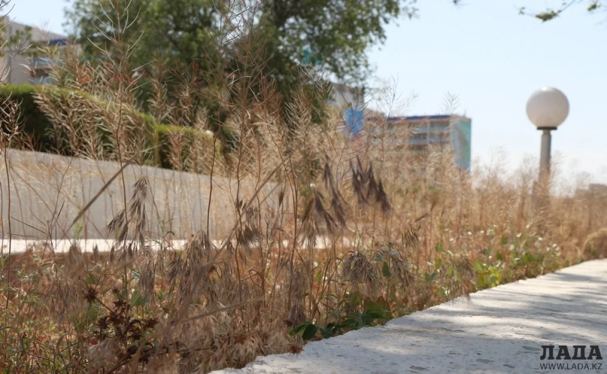 Фото Рашида Исмагилова