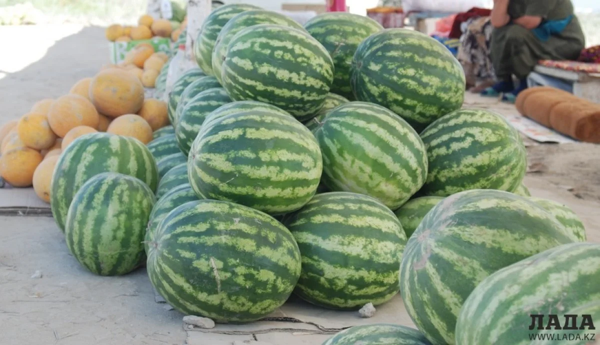 Фото автора из архива Lada.kz