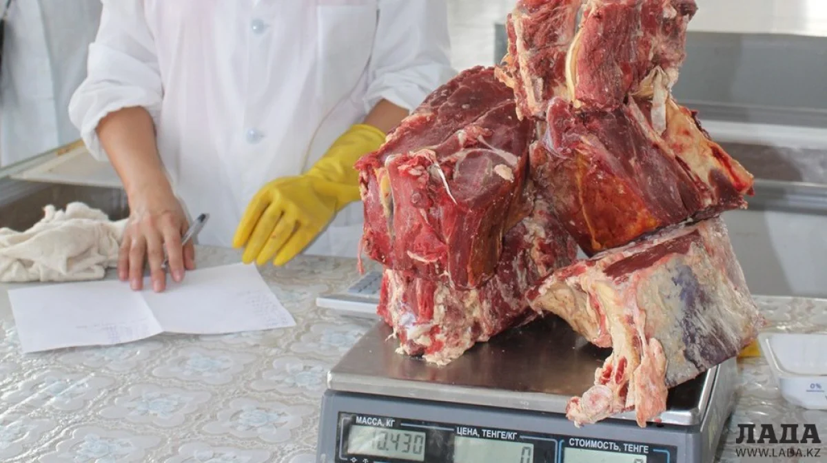 Фото автора из архива Lada.kz