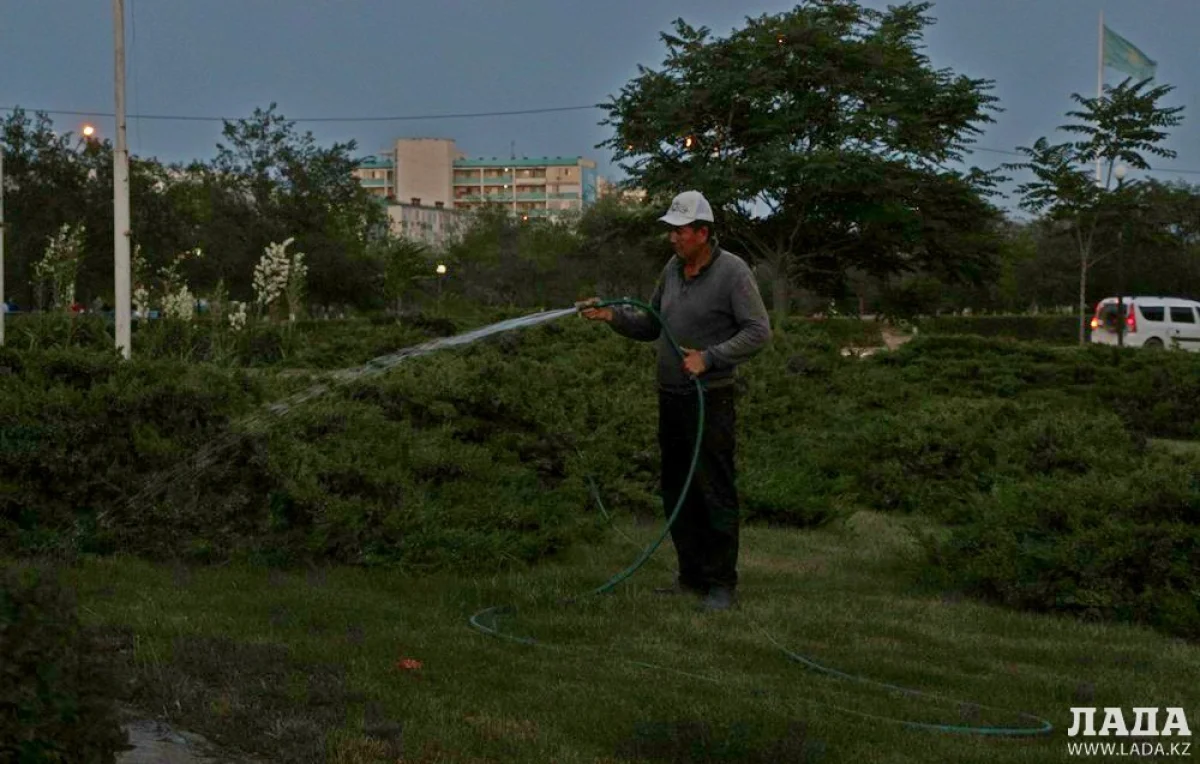 Полив у здания №55 в 13 микрорайоне