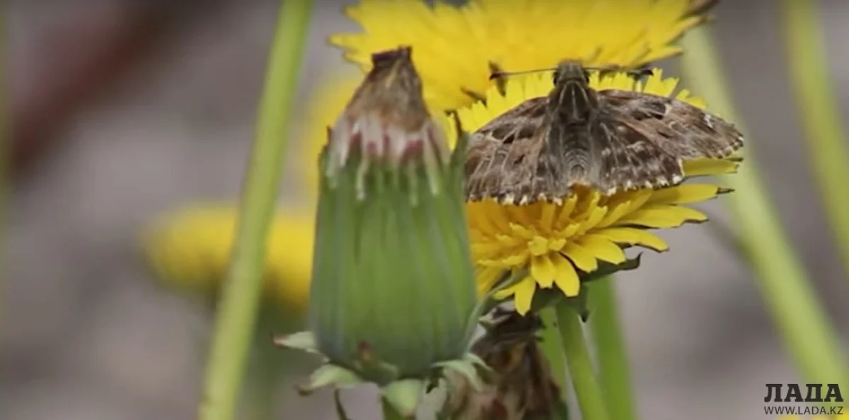 Фото из архива