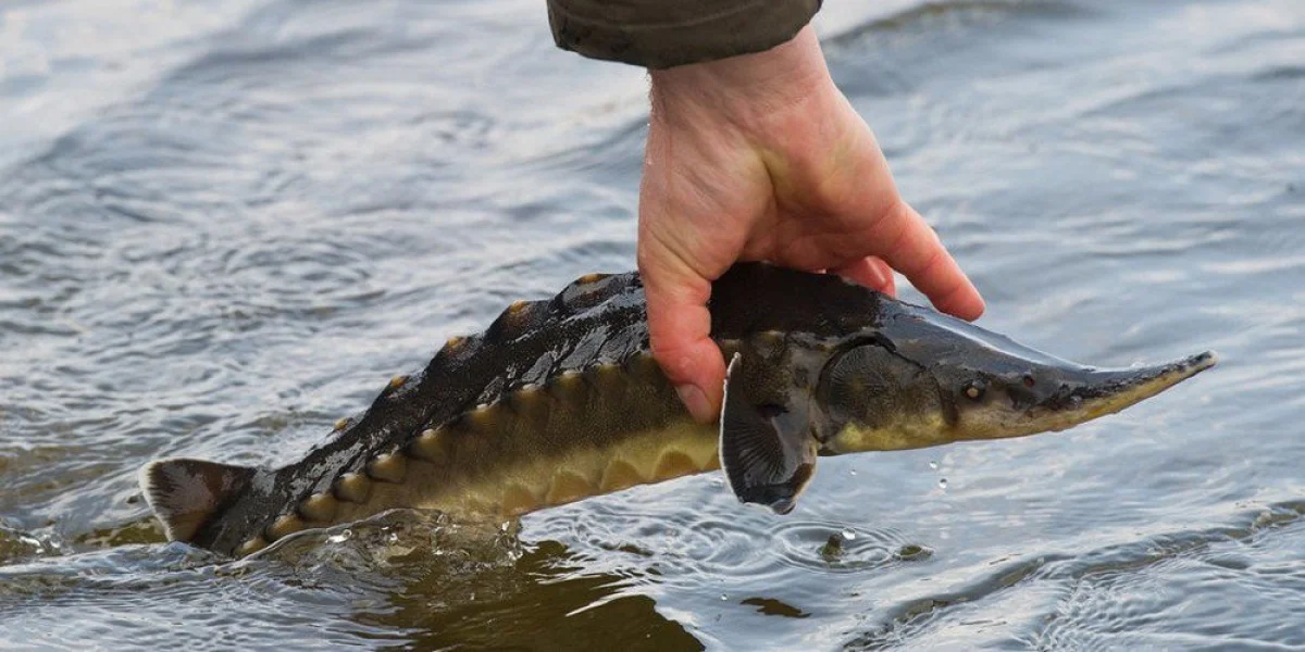 Фото из доступных источников