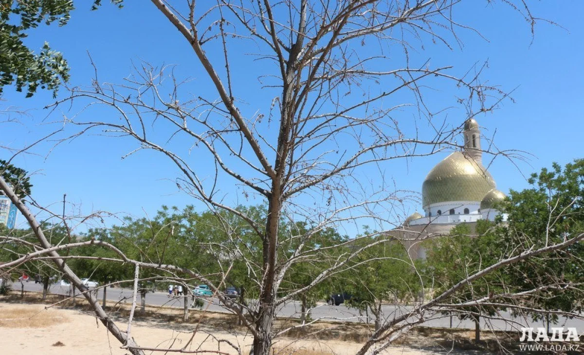 Фото Рашида Исмагилова