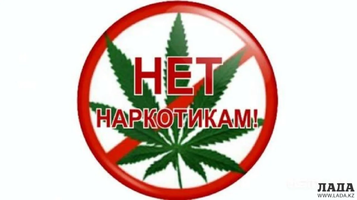 Иллюстративное фото