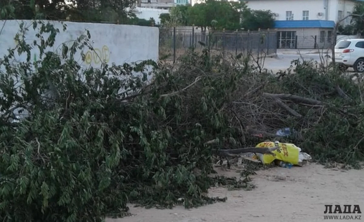 Фото жительницы 4 микрораойна Натальи