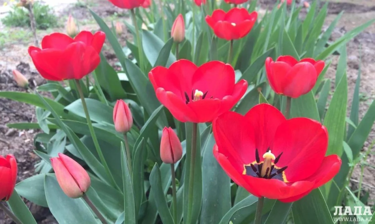 Фото из архива