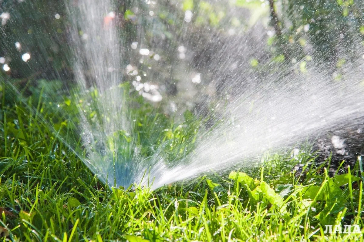 Иллюстративное фото с сайта vlg-media.ru