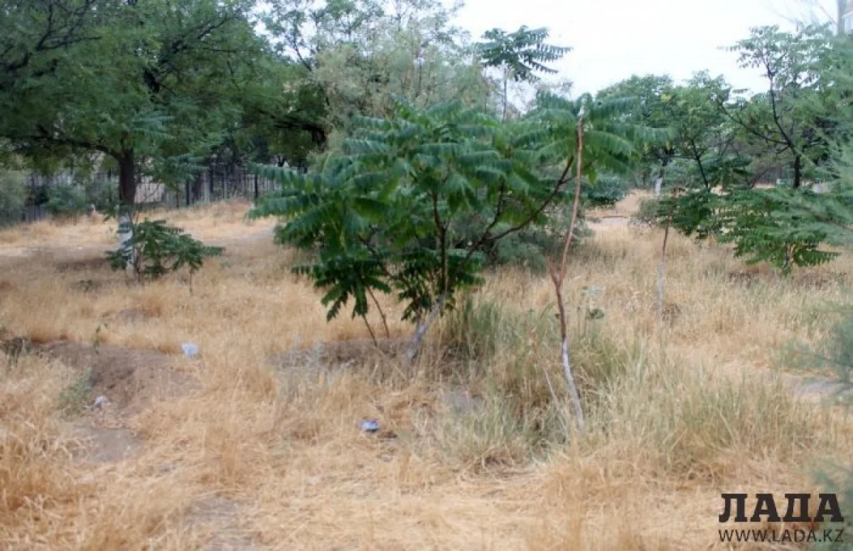 Фото из архива Lada.kz