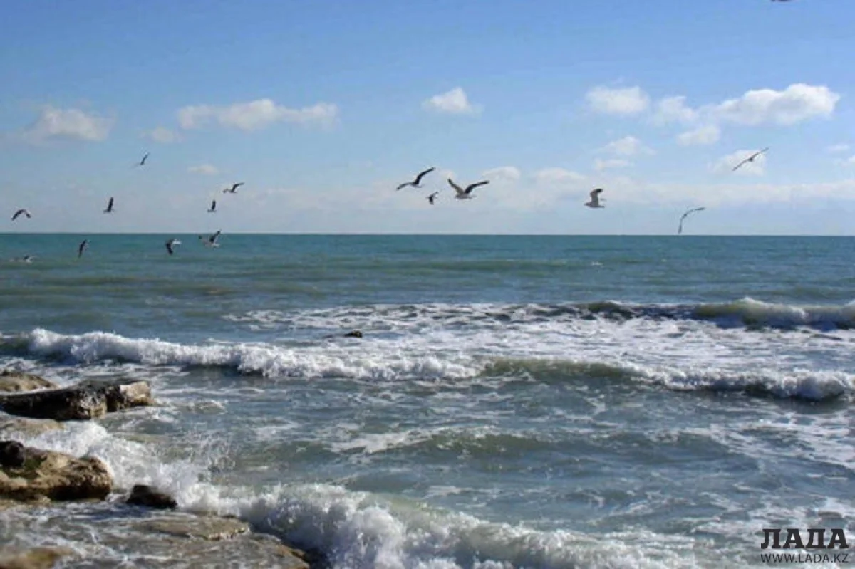 Иллюстративное фото||news_pic_more|<!--TBegin--><a href="https://www.lada.kz/uploads/posts/2019-07/1562164203_img_9661-03-07-19-07-23.jpg" onclick="return hs.expand(this)" ><img align="left" src="https://www.lada.kz/uploads/posts/2019-07/thumbs/1562164203_img_9661-03-07-19-07-23.jpg" alt='В лагерях Актау отдохнут 150 детей из Арыса' title='В лагерях Актау отдохнут 150 детей из Арыса'  /></a><!--TEnd--><br /><!--TBegin--><a href="https://www.lada.kz/uploads/posts/2019-07/1562164222_img_9662-03-07-19-07-23.jpg" onclick="return hs.expand(this)" ><img align="left" src="https://www.lada.kz/uploads/posts/2019-07/thumbs/1562164222_img_9662-03-07-19-07-23.jpg" alt='В лагерях Актау отдохнут 150 детей из Арыса' title='В лагерях Актау отдохнут 150 детей из Арыса'  /></a><!--TEnd--><br /><!--TBegin--><a href="https://www.lada.kz/uploads/posts/2019-07/1562164254_img_9663-03-07-19-07-23.jpg" onclick="return hs.expand(this)" ><img align="left" src="https://www.lada.kz/uploads/posts/2019-07/thumbs/1562164254_img_9663-03-07-19-07-23.jpg" alt='В лагерях Актау отдохнут 150 детей из Арыса' title='В лагерях Актау отдохнут 150 детей из Арыса'  /></a><!--TEnd--><br /><!--TBegin--><a href="https://www.lada.kz/uploads/posts/2019-07/1562164189_img_9664-03-07-19-07-23.jpg" onclick="return hs.expand(this)" ><img align="left" src="https://www.lada.kz/uploads/posts/2019-07/thumbs/1562164189_img_9664-03-07-19-07-23.jpg" alt='В лагерях Актау отдохнут 150 детей из Арыса' title='В лагерях Актау отдохнут 150 детей из Арыса'  /></a><!--TEnd--><br /><!--TBegin--><a href="https://www.lada.kz/uploads/posts/2019-07/1562164207_img_9665-03-07-19-07-23.jpg" onclick="return hs.expand(this)" ><img align="left" src="https://www.lada.kz/uploads/posts/2019-07/thumbs/1562164207_img_9665-03-07-19-07-23.jpg" alt='В лагерях Актау отдохнут 150 детей из Арыса' title='В лагерях Актау отдохнут 150 детей из Арыса'  /></a><!--TEnd-->