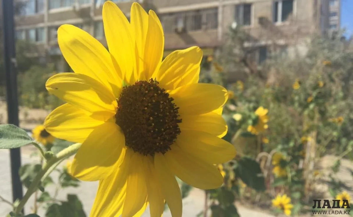 Фото из архива