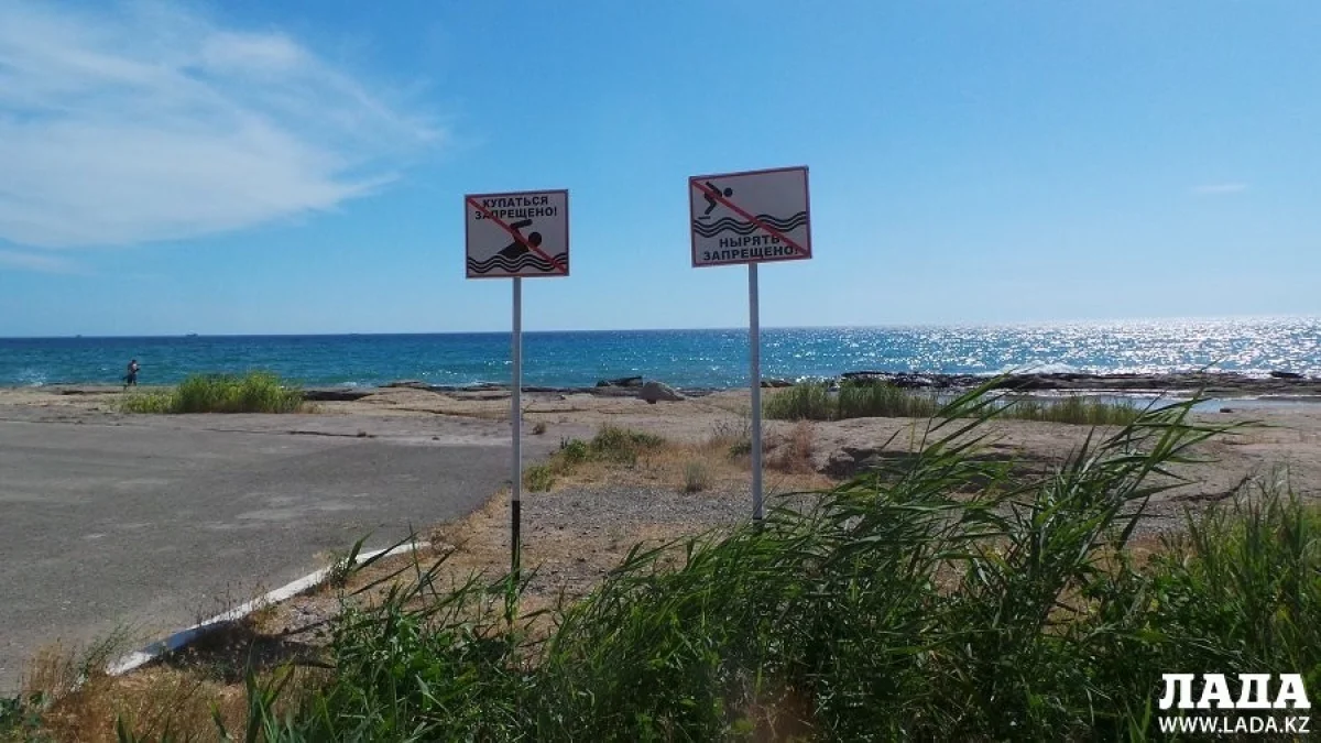 Фото из архива