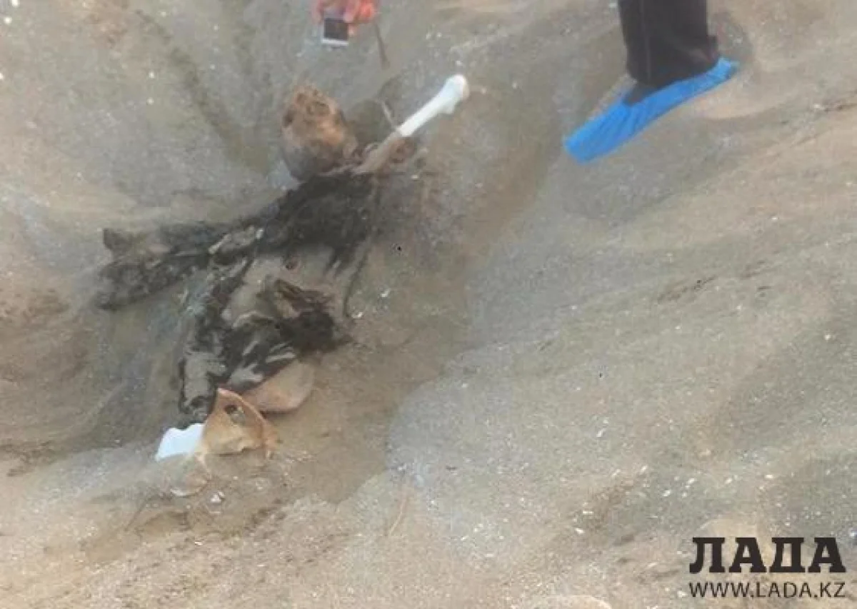 Фото очевидцев