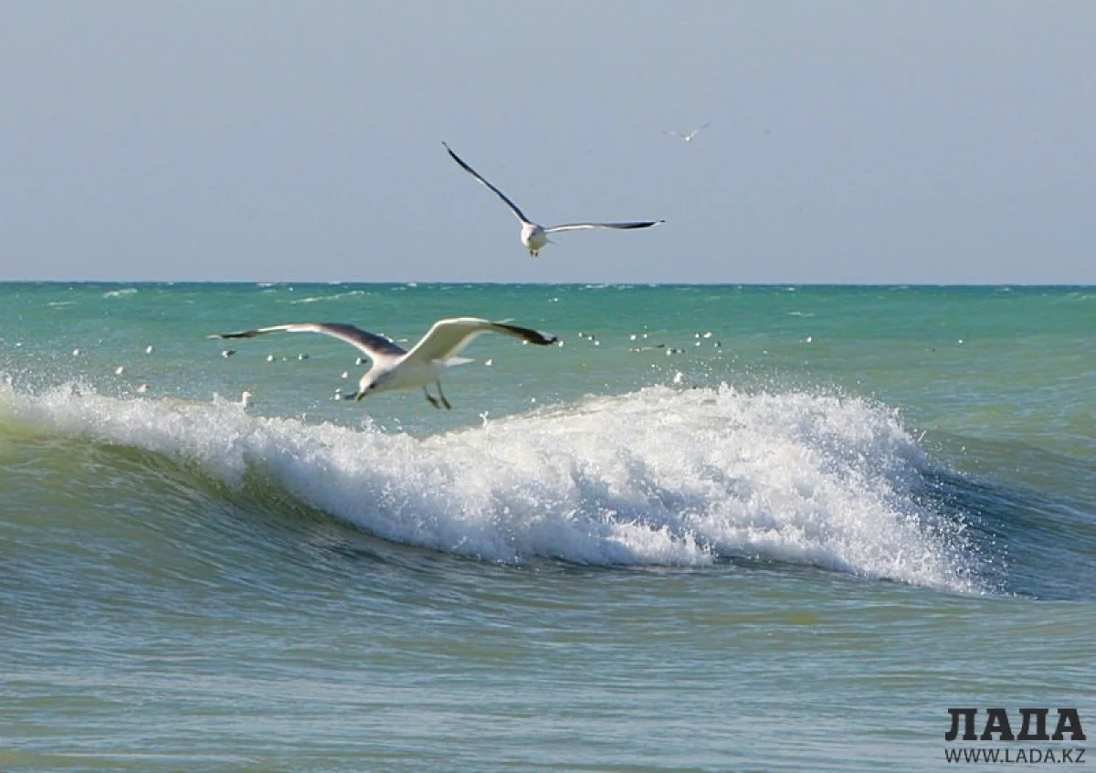 Фото из архива &quot;Лады&quot;