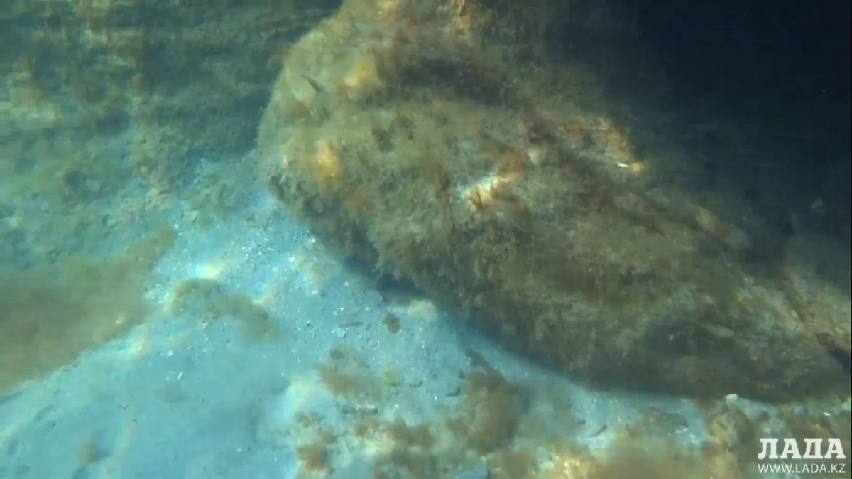 Скриншот видеоматериала