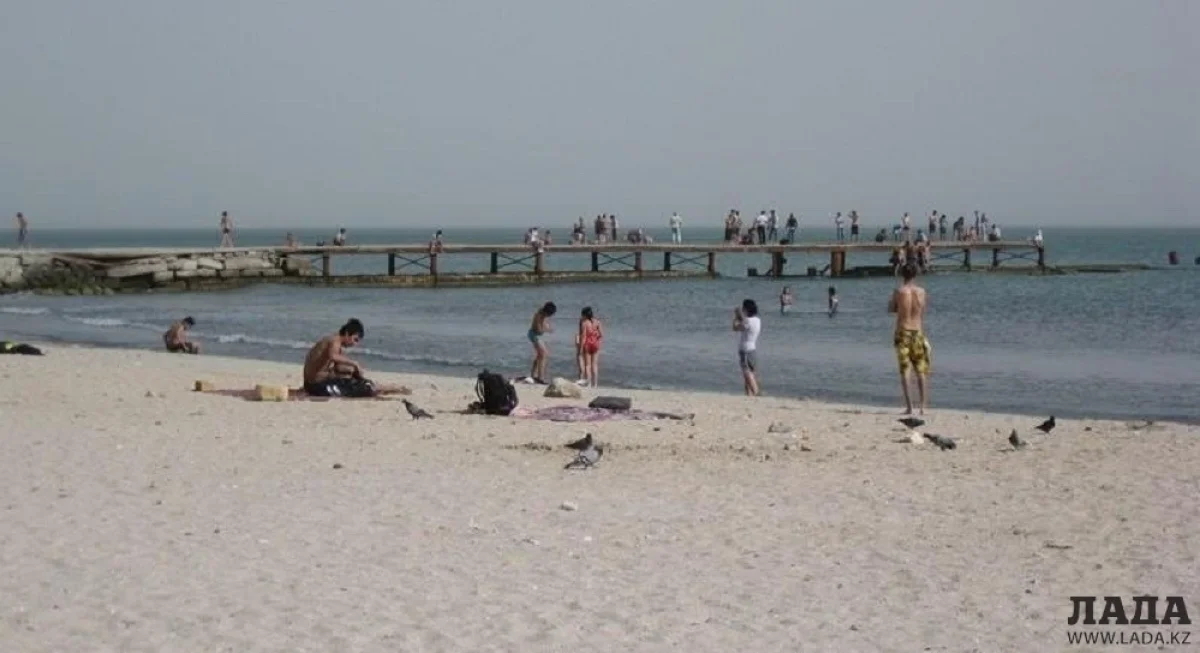 Иллюстративное фото