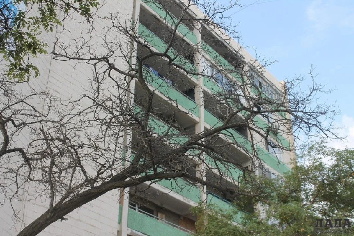 Фото из архива Lada.kz