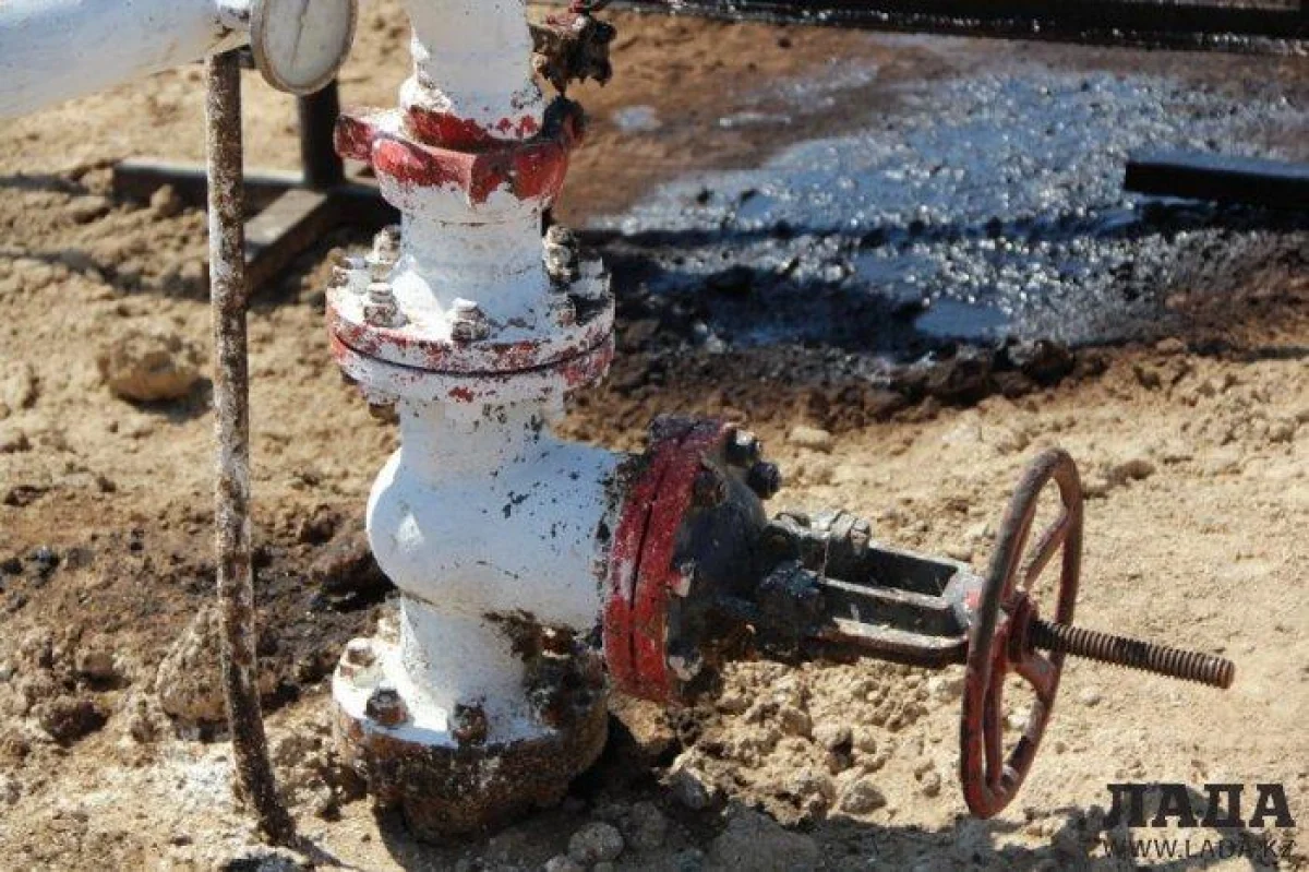 Фото из архива