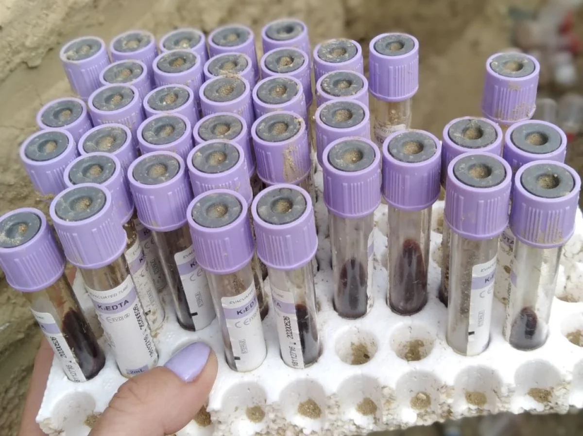 Фото очевидцев