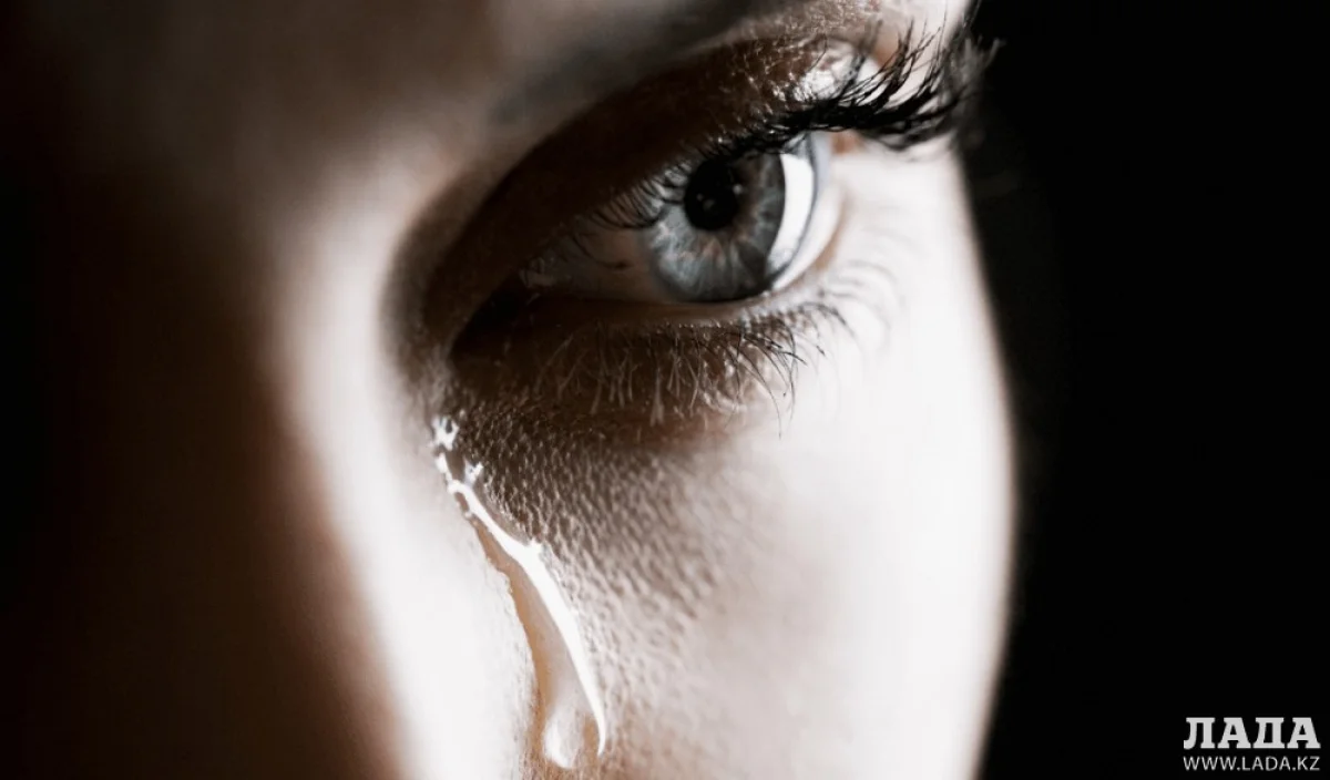 Фото из доступных источников