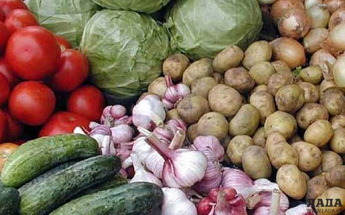 Иллюстративное фото