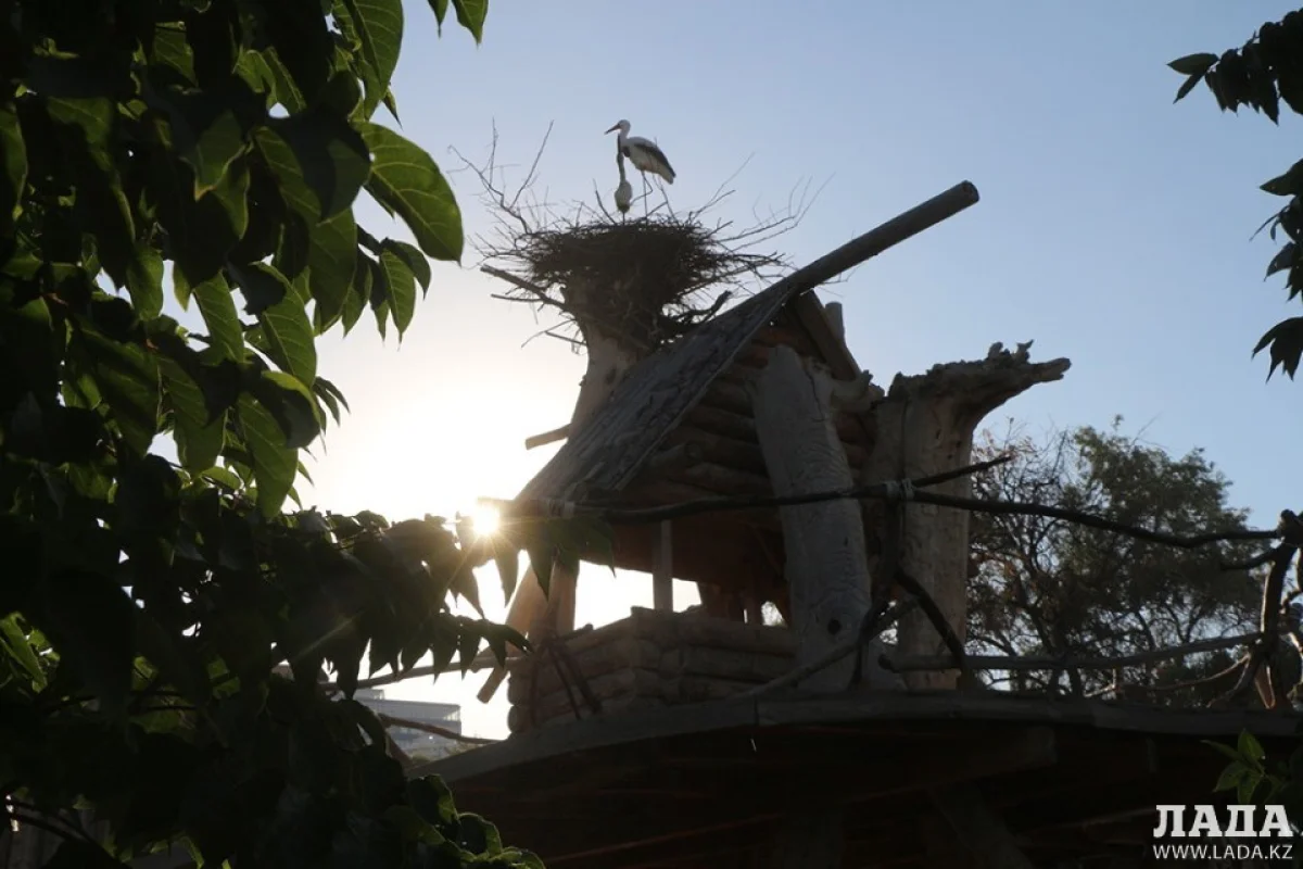 Фото Рашида Исмагилова