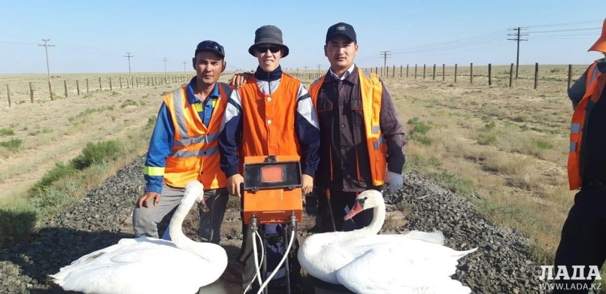Фото предоставлено Азаматом Искалиевым