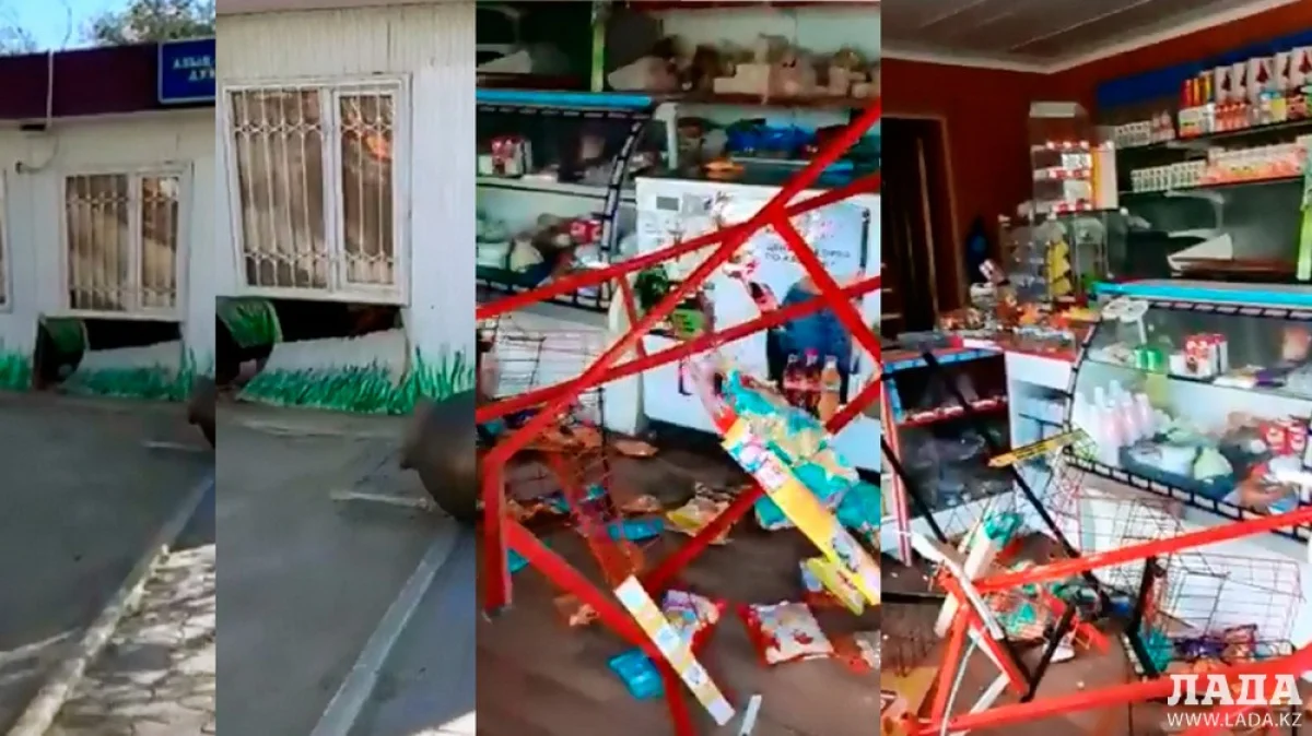 Скриншот видеоматериала