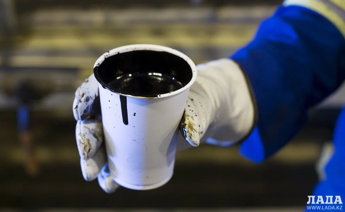 Иллюстративное фото с сайта politring.com