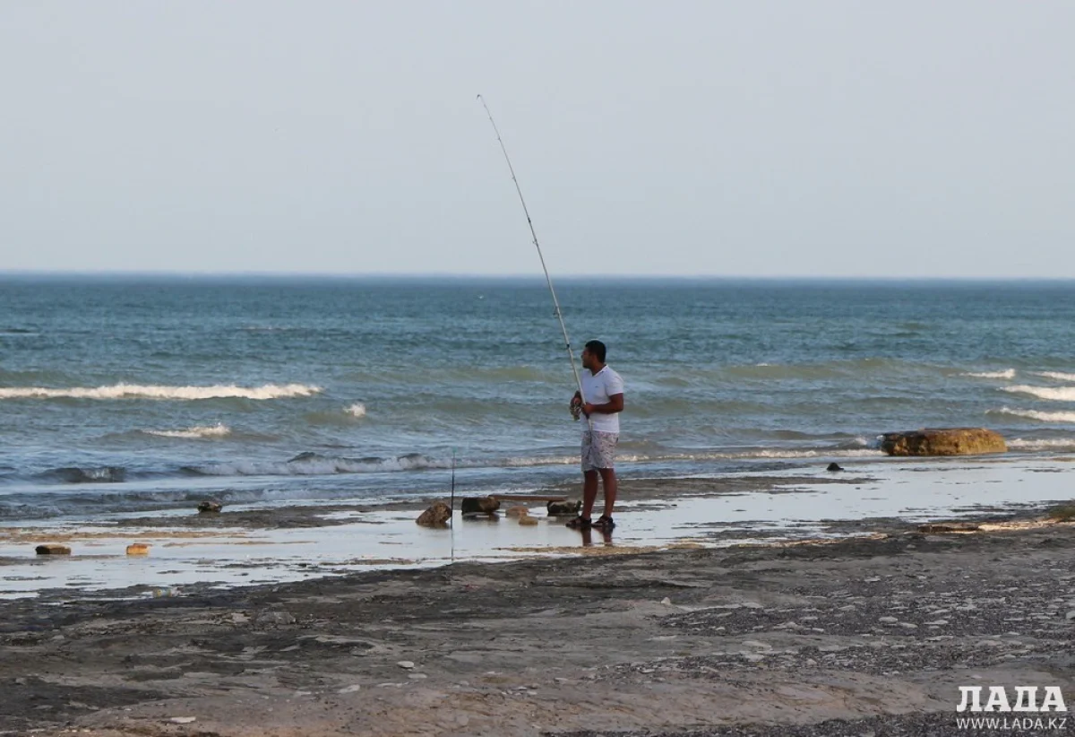 Фото из архива &quot;Лады&quot;