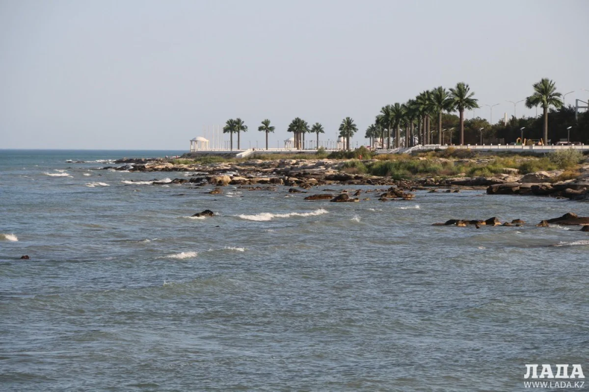 Фото Рашида Исмагилова