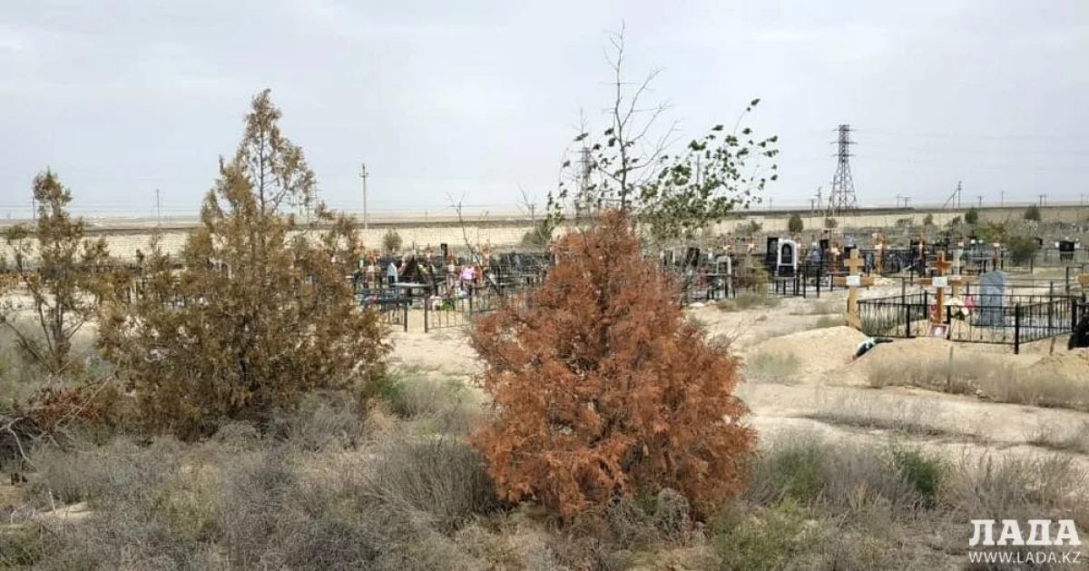 Фото Игоря Матюшенко