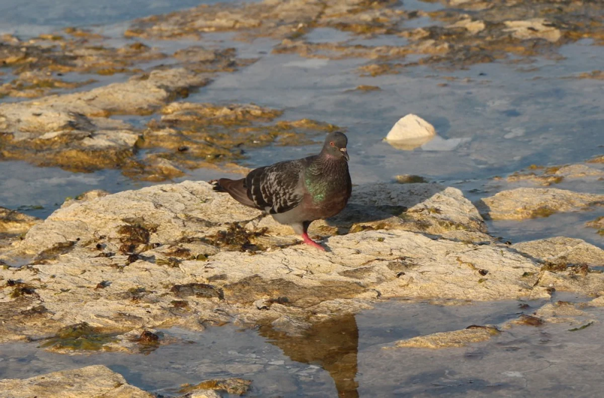 Фото Рашида Исмагилова