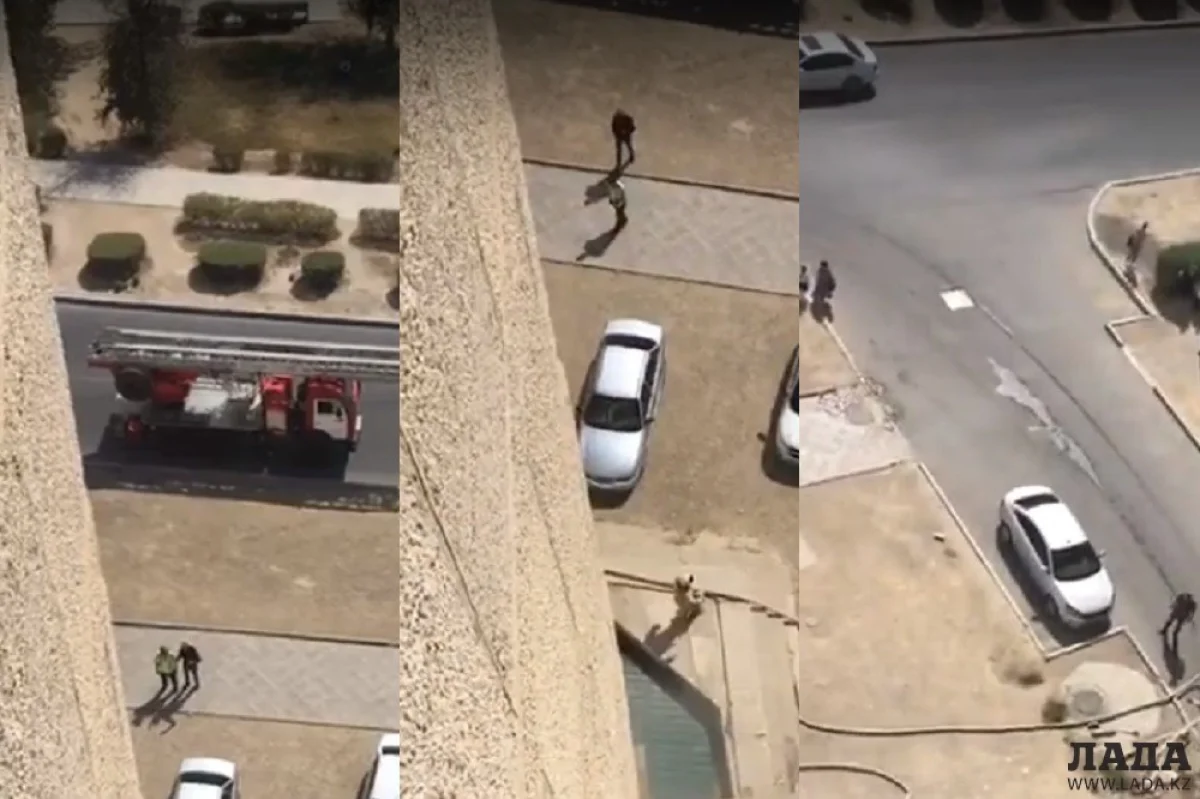 Коллаж из скриншотов видеоматериала