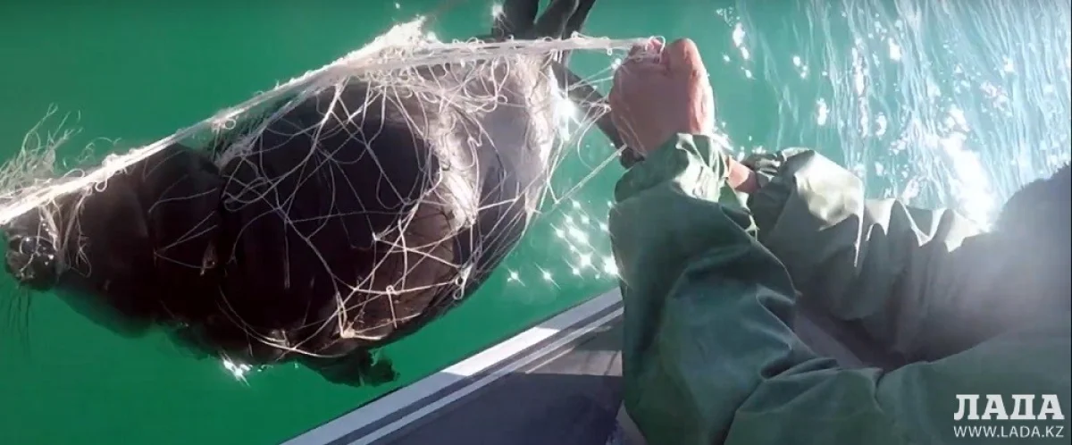 Скриншот видеоматериала