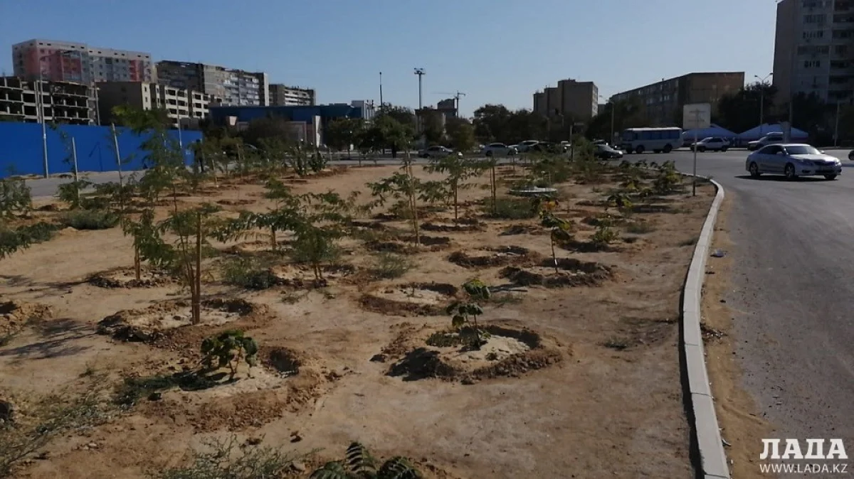 Фото предоставили в городском акимате