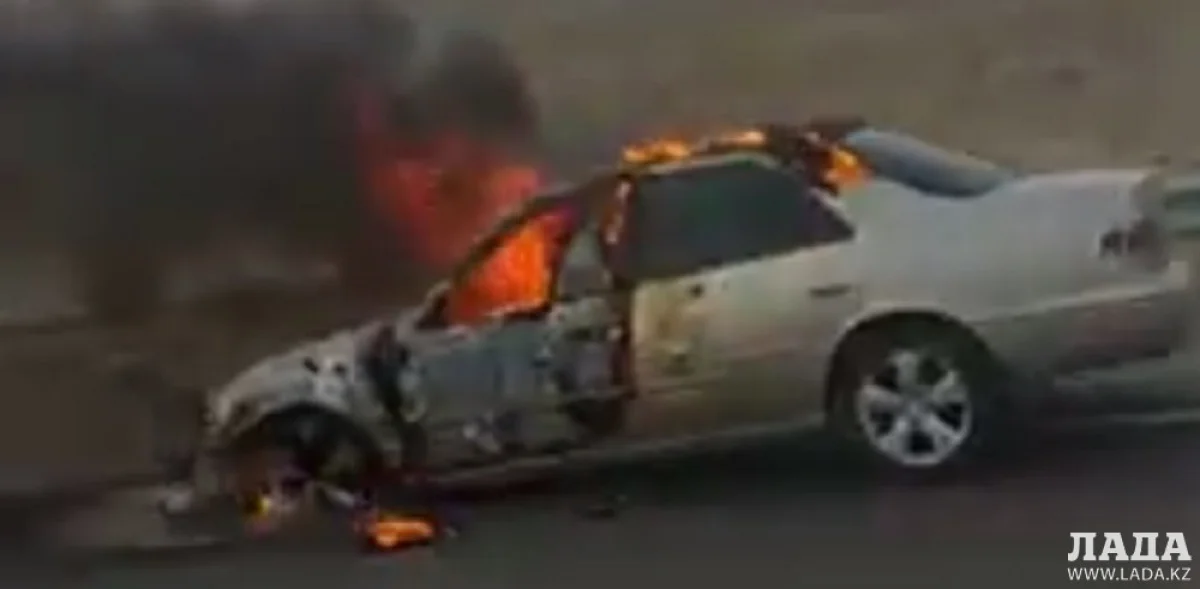 Скриншот видеоматериала