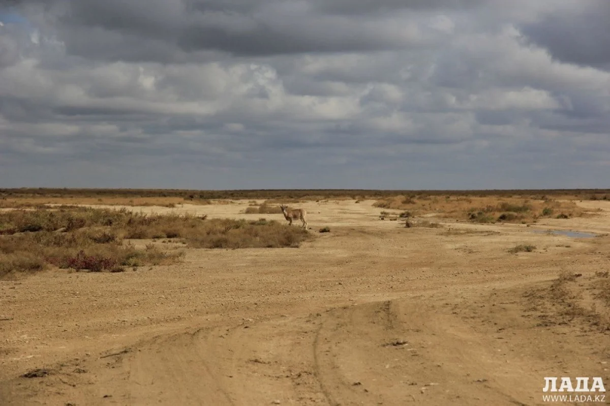 Фото Руслана Чурова